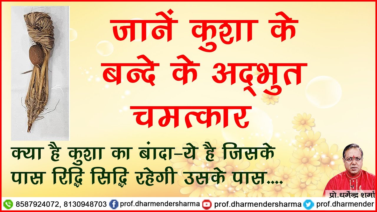 जाने कुशा के बन्दे के अद्भुत चमत्कार –प्रो. धर्मेन्द्र शर्मा ......