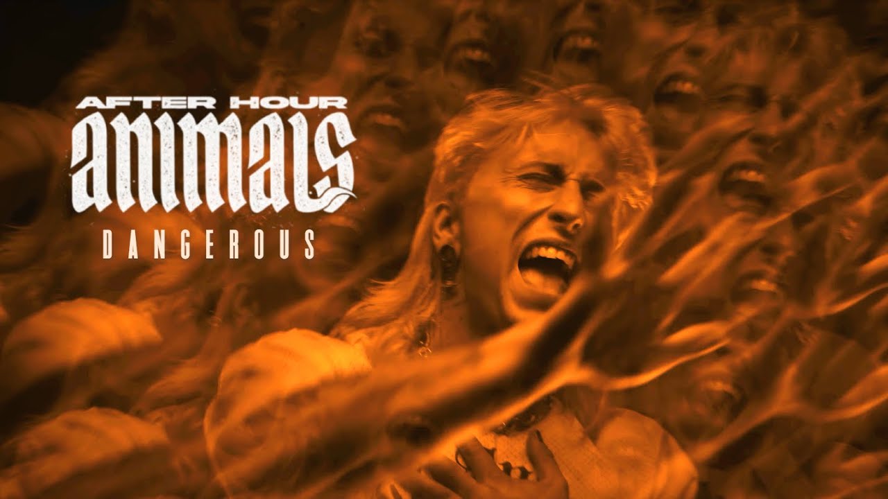 after-hour-animals-dangerous-official-music-video-youtube