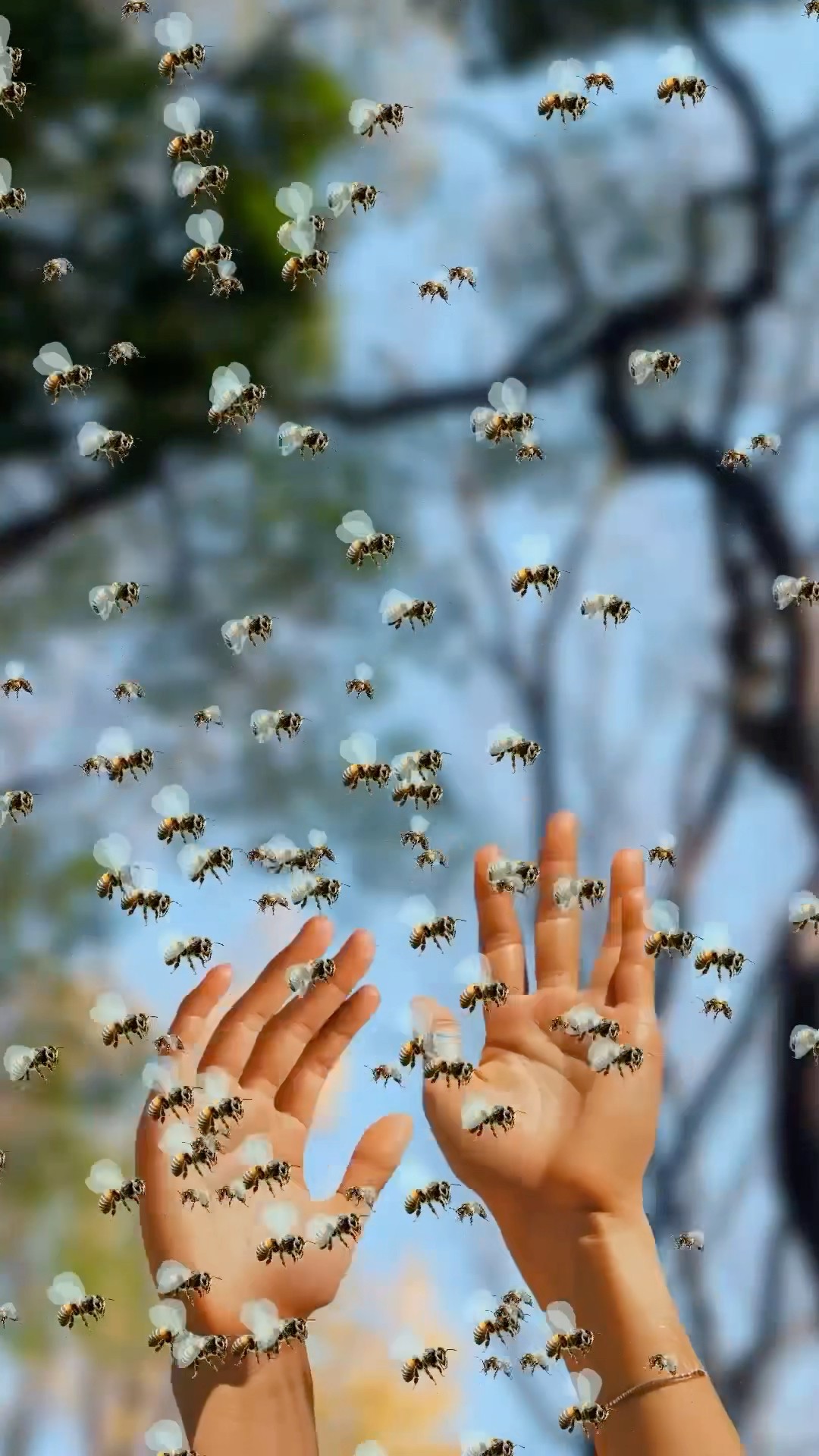 ¿Qué hacer si te atacan las abejas? ? #sabiasque