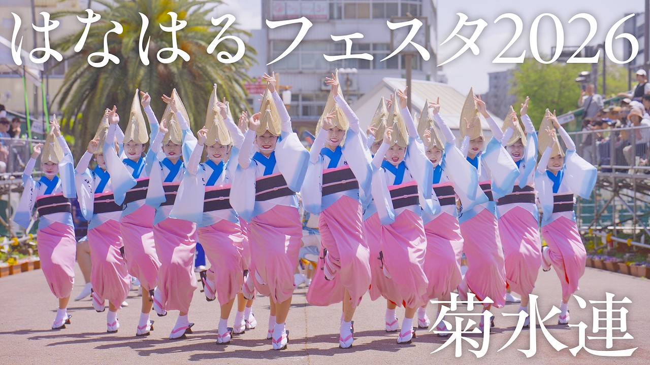 阿波踊り2026】はなはるフェスタ2026 人気急上昇中の菊水連 魂を