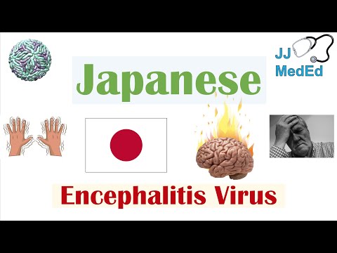 जापानी इंसेफेलाइटिस वायरस (जेईवी) | संचरण, रोगजनन, लक्षण, निदान, उपचार