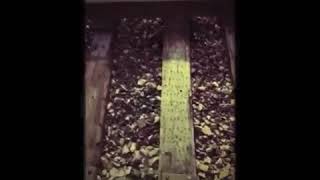 My Morning Jacket - Golden