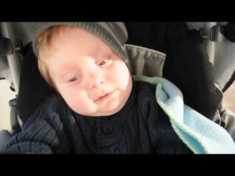 გაბრიელის სიცილი...