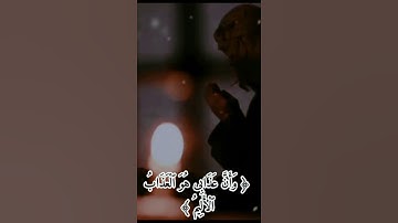 نَبِّئْ عِبَادِىٓ أَنِّىٓ أَنَا... | القارئ سالم الرويلي | حالة واتساب.