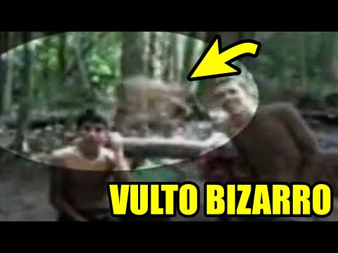 O BIZARRO VULTO DO IGARAPÉ