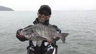 がま磯 アルデナ チヌ TVCM