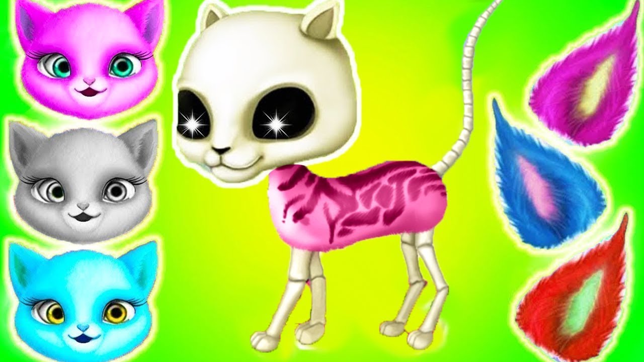 Fun Kitten Pet Care Cat Hair Salon Birthday Party Play Kitten