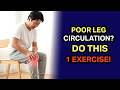 Surgeon Reveals: Do This 1 Exercise for Poor Leg Circulation After 65 | Senior Health Tips