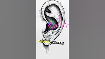 The Doppler Effect: Why Ambulances Sound Wrong #Shorts #science #shorts