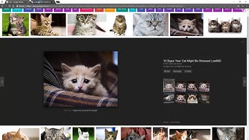 View Image in action