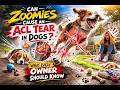 Can Zoomies Cause an ACL Tear in Dogs
