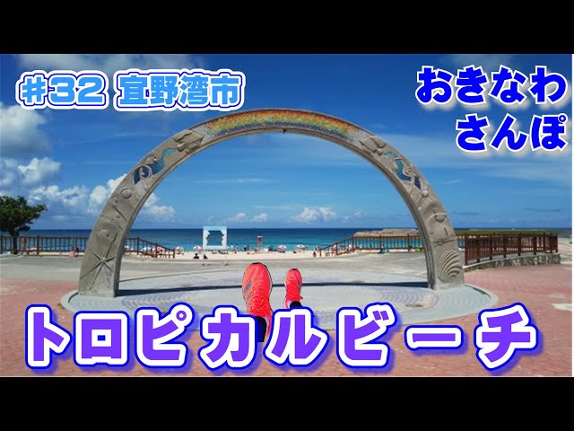 トロピカルビーチスタッフ 英語版 トロピカルビーチスタッフ 英語版 トロピカルビーチスタッフ