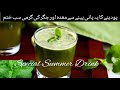 Mint Drink Benefits in Summar | Pudina and Tukh Malanga Drink