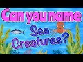 Sea Creatures Quiz