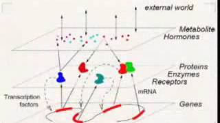 Statistical Modelling of Biological Networks