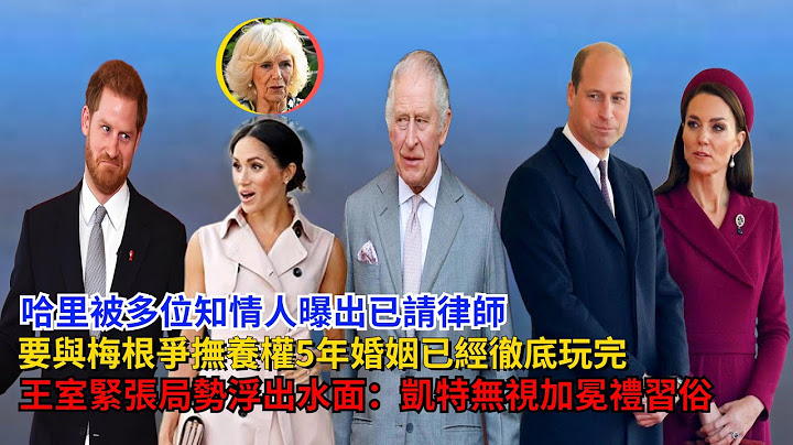 哈里被曝已請律師，要與梅根爭孩子撫養權，5年婚姻已經徹底玩完#梅根#哈里王子#威廉王子#凱特#查爾斯#卡米拉#夏洛特公主#喬治王子#路易斯王子#戴安娜#英女王#安德魯 - 天天要聞
