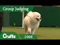 Samoyed win Pastoral Group Judging at Crufts 2008 | Crufts Dog Show