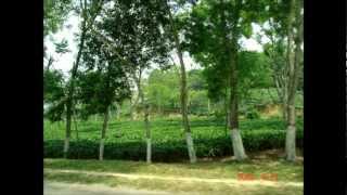 Cholo Rina - Tarun Banerjee চলো রিনা