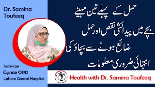 First Trimester of Pregnancy Tips Urdu Hindi |  Hamal Ke Pehle Teen Maah Complete Info