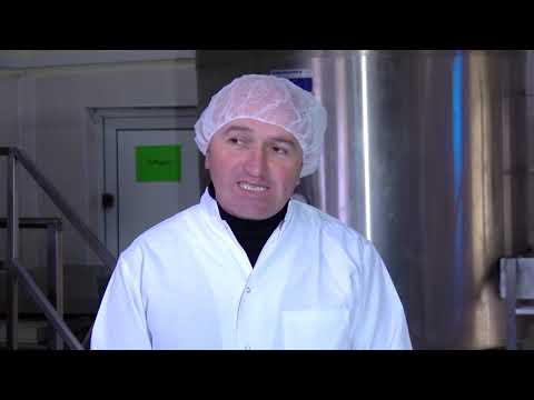 ევროპის დღე 2018, მარნეულში