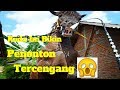 Kuda Pacu Ngamuk Saat Di Masukkan Git ( Desa Pikatan Srengat )