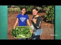 Waimea High School Agriculture Program Quiz