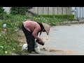 Đánh rơi ví tiền thử lòng bà cụ và cái kết ý nghĩa