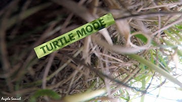 KISS FC  - Turtle Mode - My dream came true!!