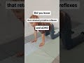 ADHD &amp; Primitive Reflexes