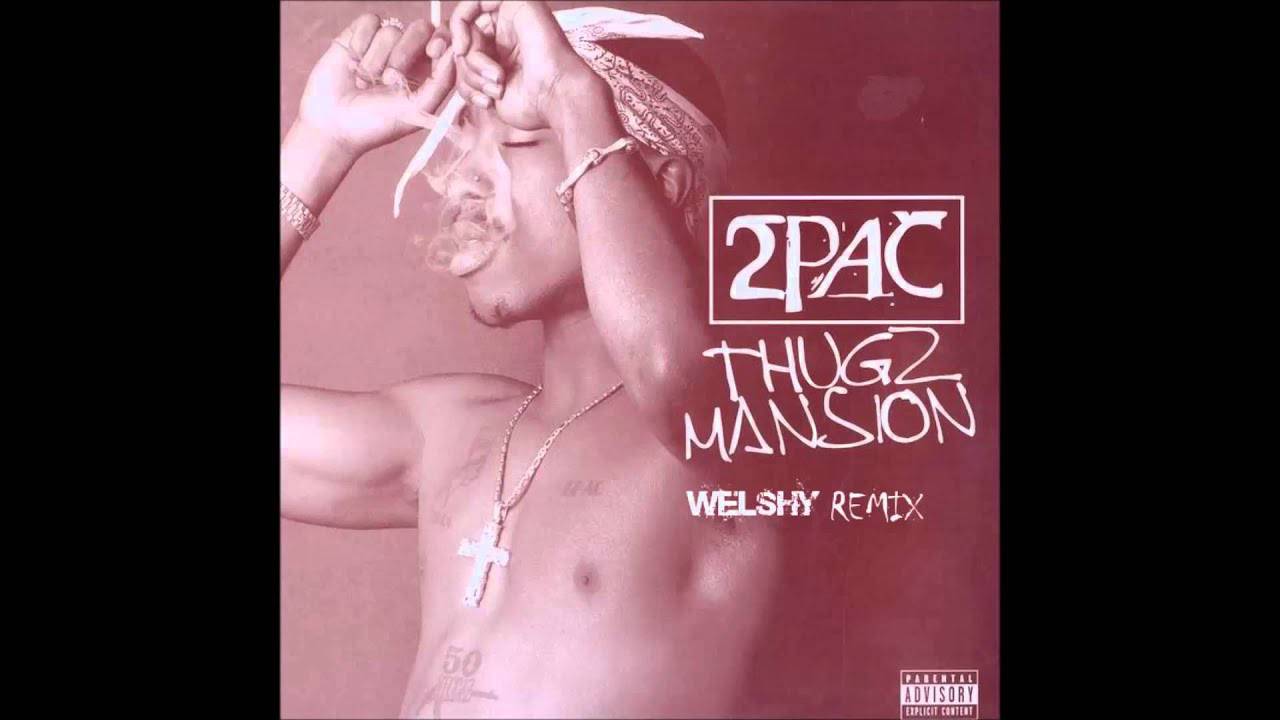 Tupac Thugz Mansion Welshy Remix YouTube