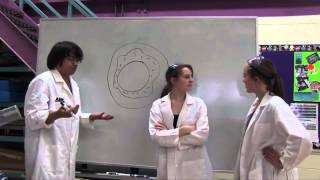 Ghost Doughnuts  Toroidal Vortices Shenandoah Valley Governor's School