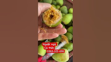 Người ngủ củ thức