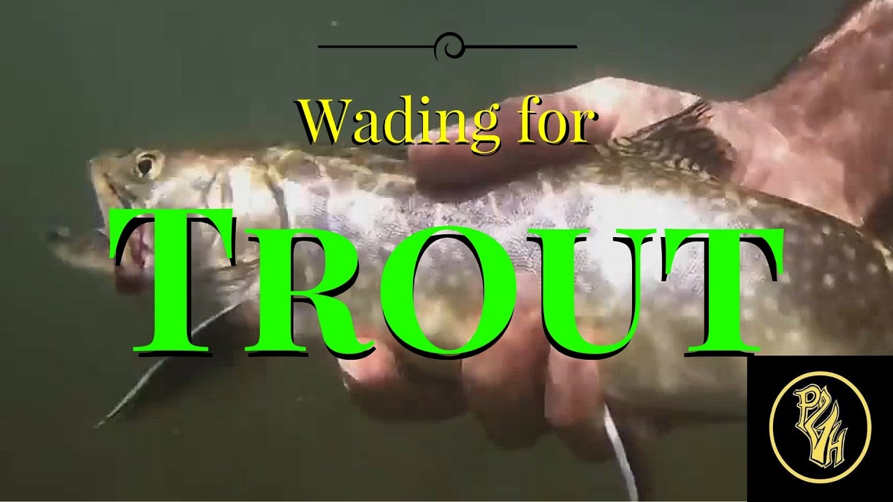 Ultralight backpacking for trout fishing setup - MaxresDefault