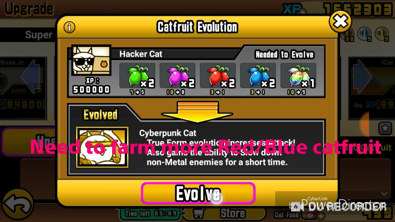 The Battle CatsEvolving Hacker CatTesting My Super Cat YouTube