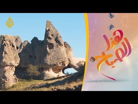 هذا الصباح- وادي الفريجة.. رحلة لأعماق التاريخ وأحضان الطبيعة 🌅