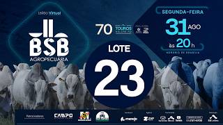 23 - LEILÃO VIRTUAL GENÉTICA TOUROS BSB AGROPECUÁRIA 31/08/2026