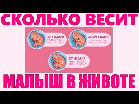 ВЕС ПЛОДА ПО НЕДЕЛЯМ БЕРЕМЕННОСТИ | От чего зависит вес ребенка в утробе матери