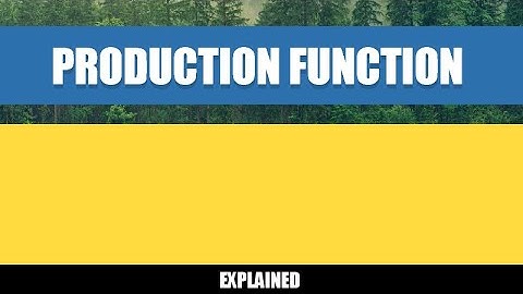 PRODUCTION FUNCTION-EXPLAINED - BUSINESS ECONOMICS-SHORT VIDEO