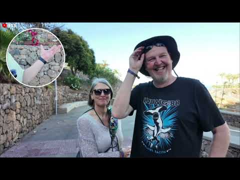 20260430 PLAYA PARAISO WALK WITH DENIS Highlights Cut HD 1080p