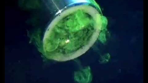 YSI IQ SensorNet Ultrasonic Sensor Cleaning with UltraClean Technology