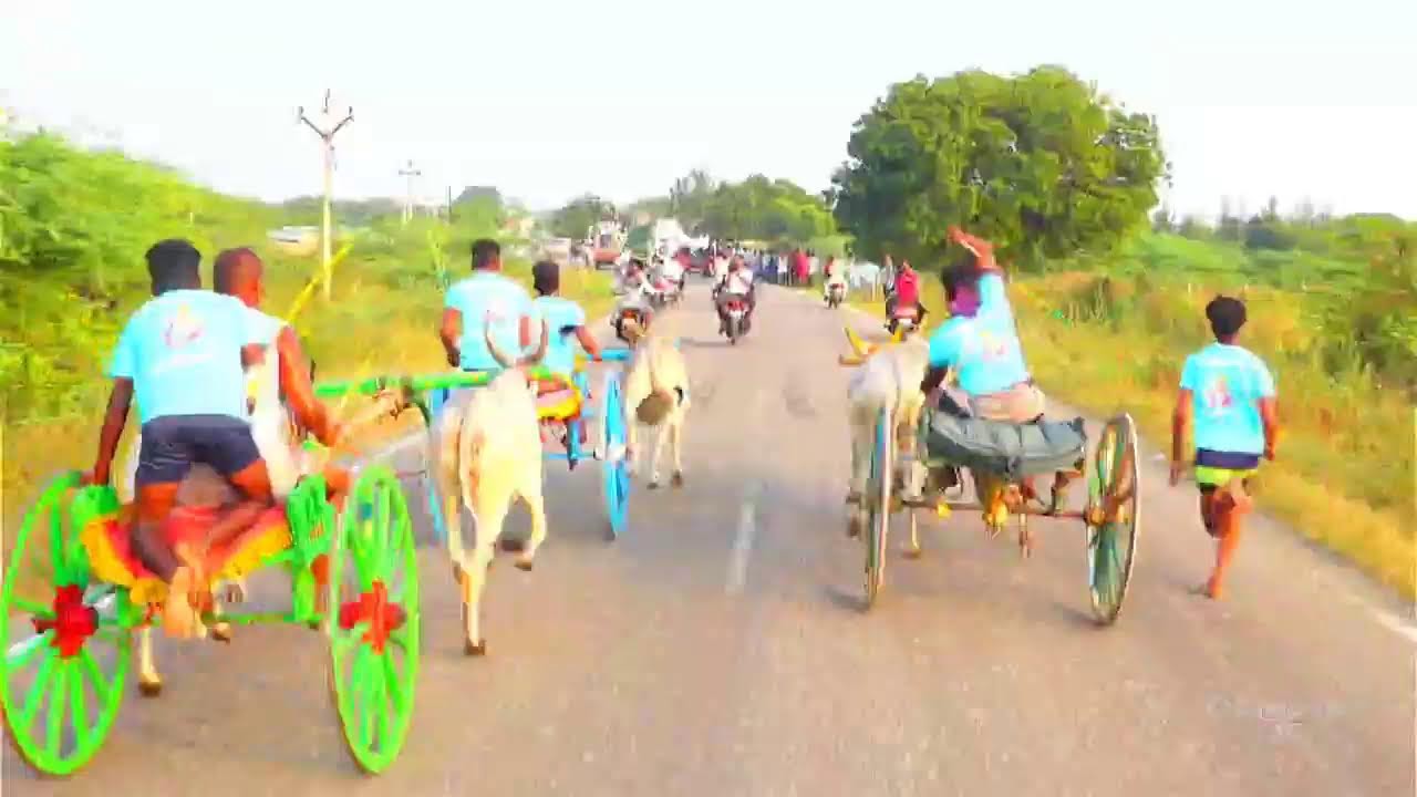 Rekla Rasigan live புதூர் பாண்டியாபுரம் தேன்சிட்டு முதல் சுற்று