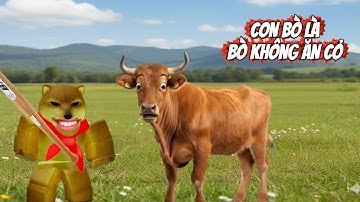 Nhạc chế Con bò là bò không ăn cỏ