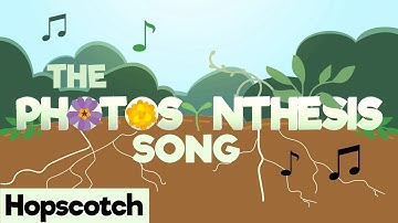 The Photosynthesis Song