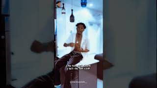 Villain  By Rema  reels   rema villain empire heisrema