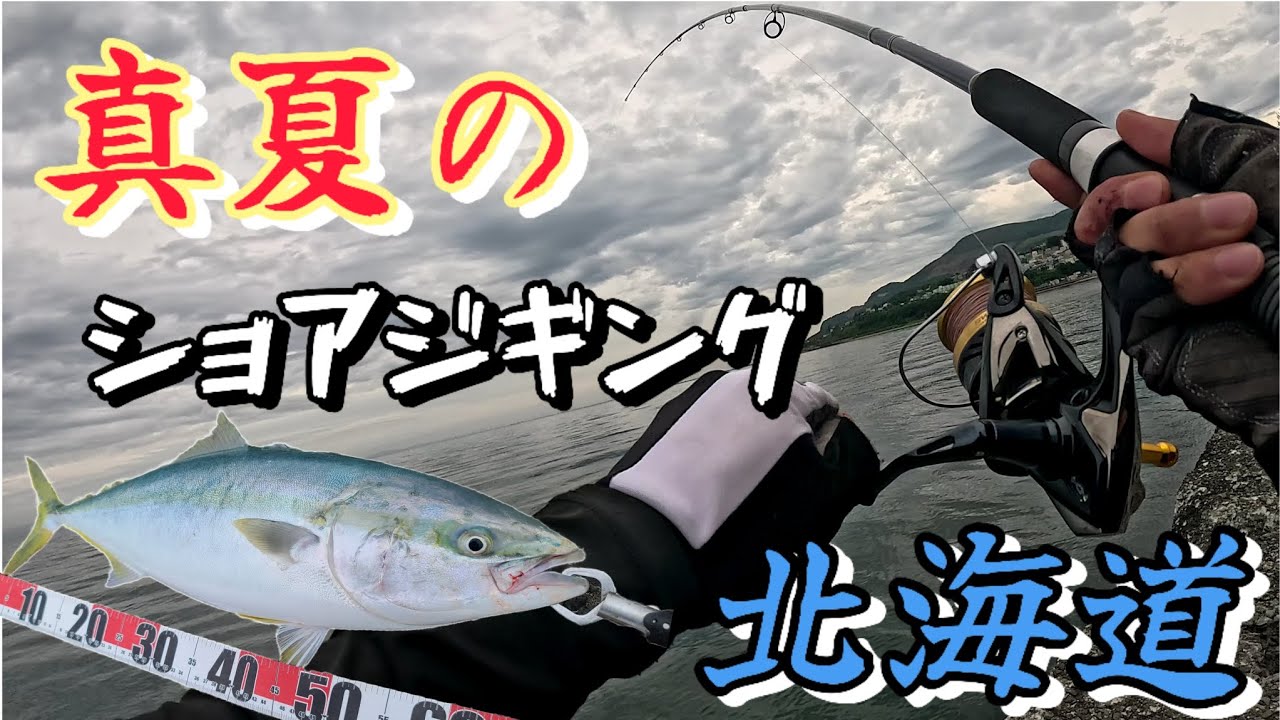 【北海道釣り】初心者 VS 青物【ショアジギング】【小樽港】