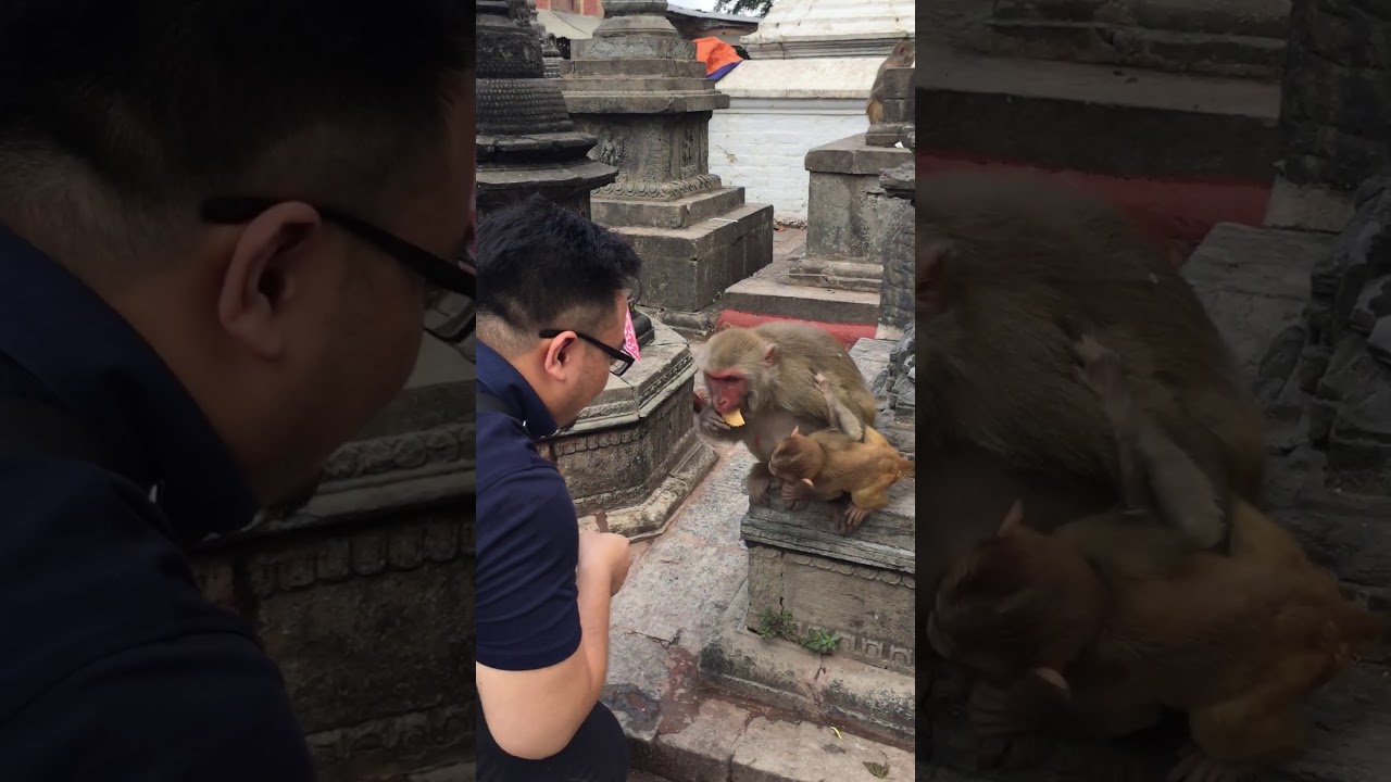 Swayambhunath 11.08.2017 (2) - YouTube