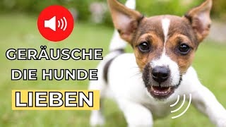 geräusche für hunde 🐶 lieblingsgeräusche von hunden screenshot 5