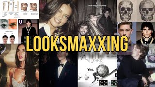 Looksmaxxing (edits)