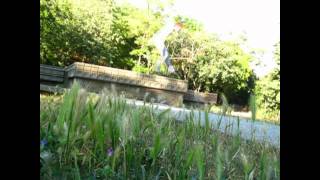 Summer Sampler 2011 (whoody)