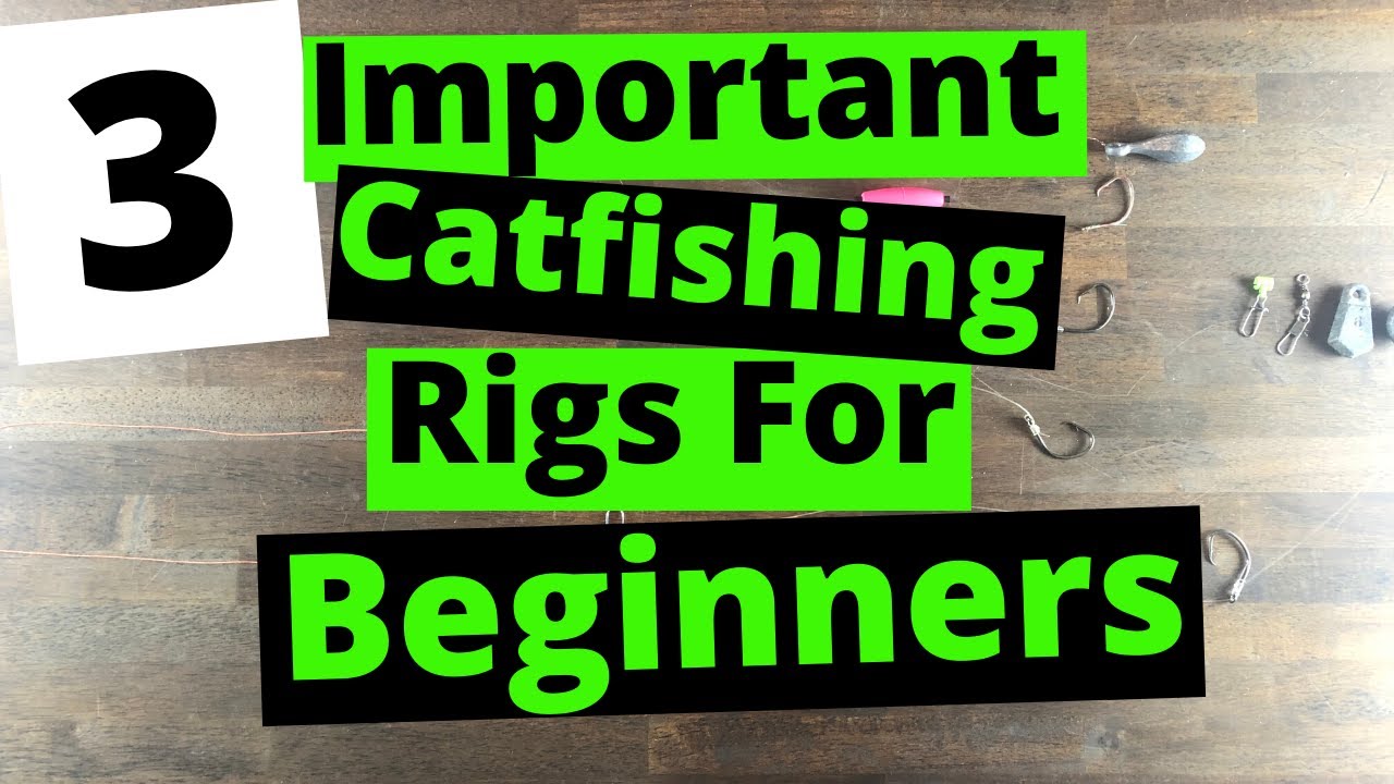 Catfishing Rigs For Beginners!!! The only 3 you need to know. 